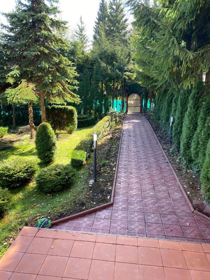 الشقق الفندقية بْريدالفي  Vila Phoenix المظهر الخارجي الصورة
